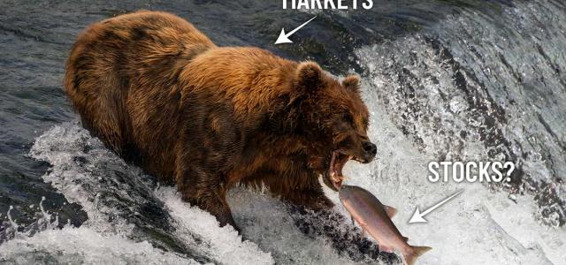 The Bear Market Is Finally Over | Vigil Wealth Management